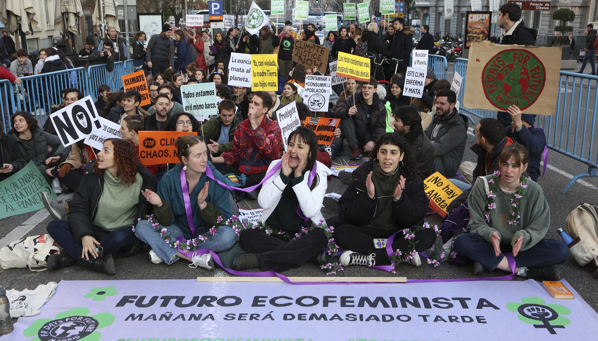 Acción por el Clima, Fridays for Future Madrid, en el Congreso - 4